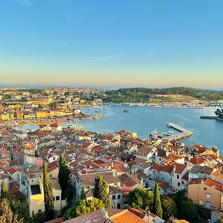 House Regent 罗维尼